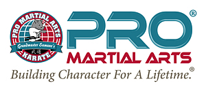 Pro Martial Arts Karate